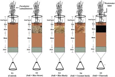 A Modified Lysimeter Study for Phyto-Treatment of Moderately Saline Wastewater Using Plant-Derived Filter Bedding Materials